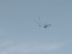 -合肥滨湖国家森林公园