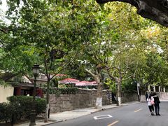 -八大关景区