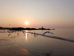 -老虎石海上公园