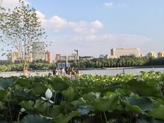 -莲花池公园