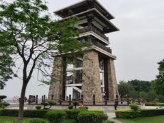 -大湾区中央湿地公园