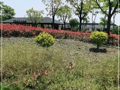 -菊园百果园