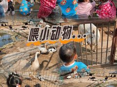 -河北村民俗体验园