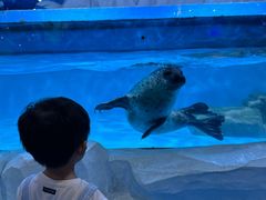-台州海洋世界