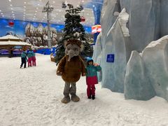 -长沙湘江冰雪世界