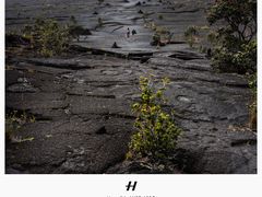 -夏威夷火山国家公园