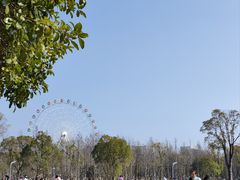 -洋湖国家湿地公园