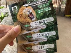 -清迈夜间动物园