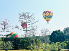 -中国科学院西双版纳热带植物园