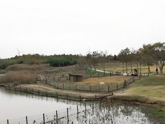 -东滩湿地公园观海楼餐厅