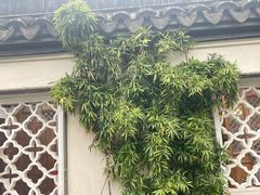 -青果巷历史文化街区