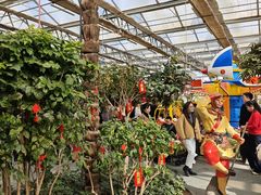 -南宫五洲植物乐园