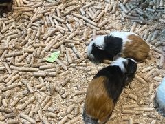 -正佳雨林生态植物园