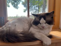 -DORA kids 朵拉儿童摄影花园店