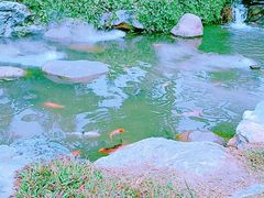-香山湖公园