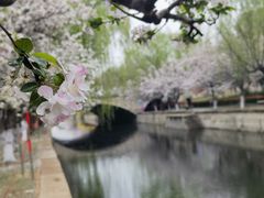 -海棠花溪(元大都城垣遗址公园)