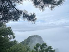 -塔云山