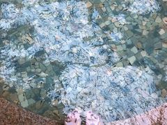-国信南山温泉