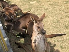 -南京金牛湖风景区