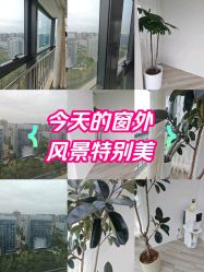 -HEYAN荷妍专业脱毛连锁机构