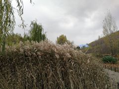 -白鹿原影视城