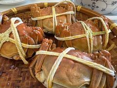 -蟹天蟹地农家菜·阳澄湖大闸蟹(浅水湾店)