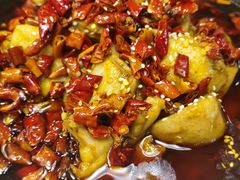 -付掌柜在成都·热炒砂锅集(金禾店)