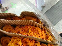 -循礼门鲜花花市(武汉循礼门店)