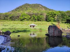 -广州市石门国家森林公园