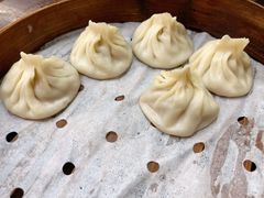 汤包半笼-朱新年·苏式汤团·面点(北寺塔店)