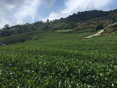 -优游吧斯邹族文化部落