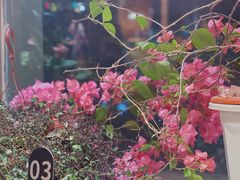 -云之南(八里庄店)