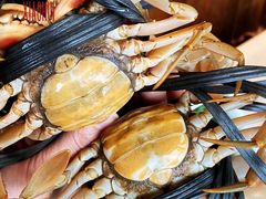 -新光酒家·河豚·海鲜·蟹料理(浦东店)