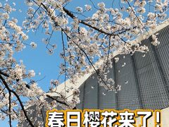 -龙美术馆(西岸馆)