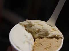 -Dip in Gelato(富民路店)