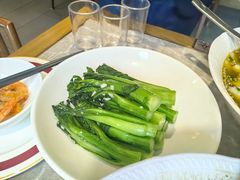 -新渝城·川菜·火锅(区庄店)