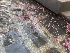 -七彩云南古滇温泉山庄