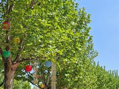 -芜湖方特东方神画