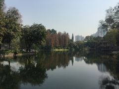 -晓港公园