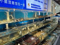 -仙螺岛海鲜自助餐厅(总店)