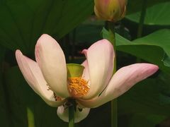 -云居湖