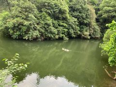 景点-滴水洞景区