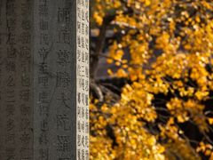 -钱王祠