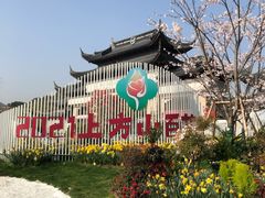 -苏州上方山国家森林公园