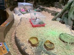 -zoonana室内动物园(东方福来德店)