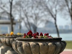 -西山漾湿地公园