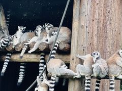 -宁波野生动物园