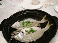 -酌宴府The China Club·广州万富希尔顿酒店(云城东路店)