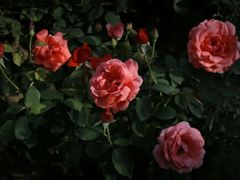 -白沙门生态公园