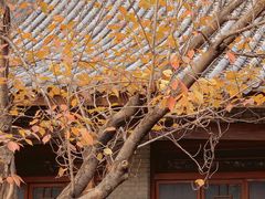 -四门塔风景区